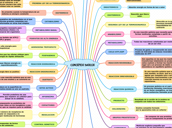CONCEPTOS BASICOS - Mind Map - Mindomo